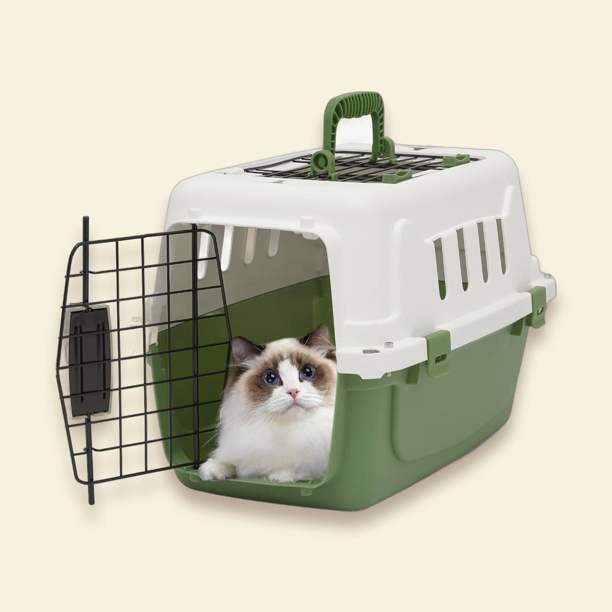 Airline-Ready Travel Carrier