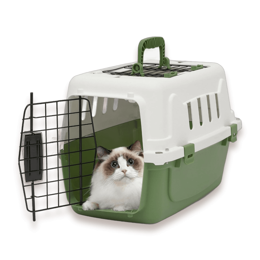Airline-Ready Travel Carrier