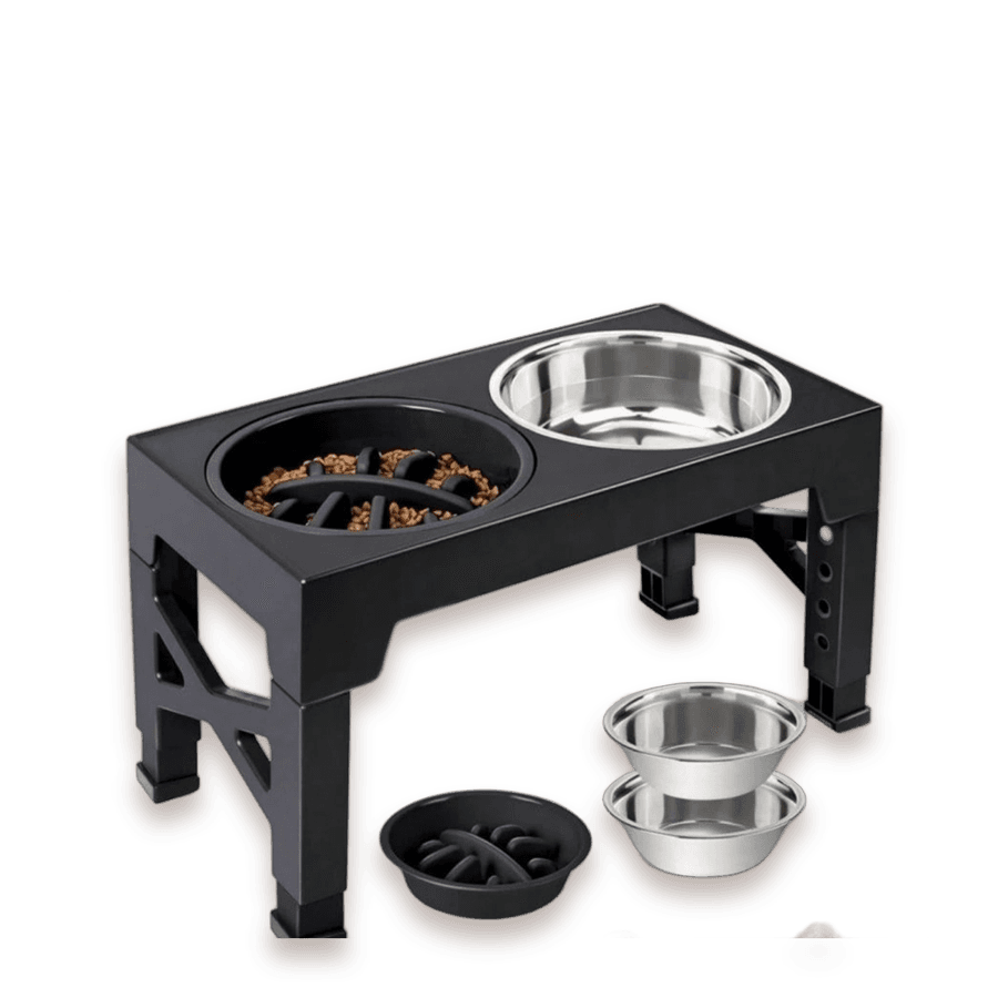 Elevated Slow Feeder Set