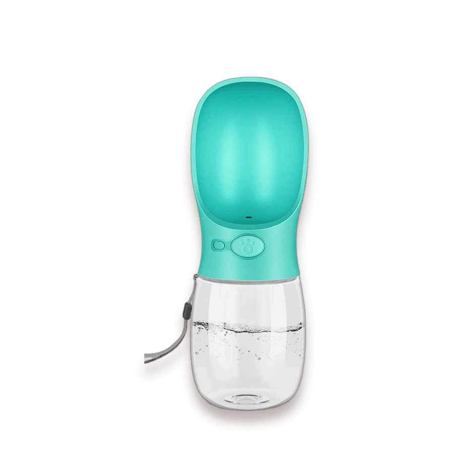 Walkies Water Bottle
